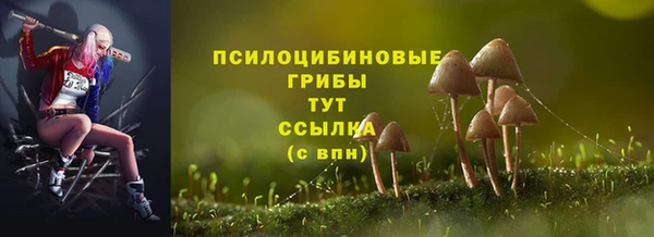 спиды Алексин