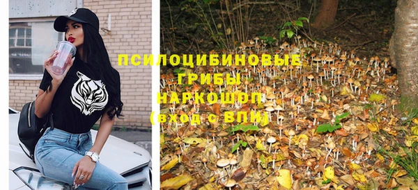 спиды Алексин
