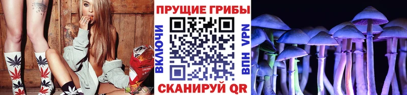 Псилоцибиновые грибы Psilocybe  цена   Волжский 