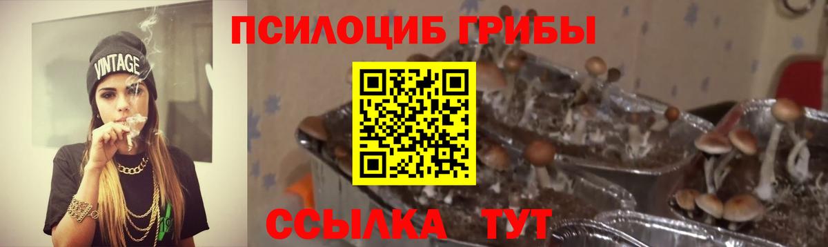 наркотики  Галлюциногенные грибы GOLDEN TEACHER  Вход с VPN  Волжский 
